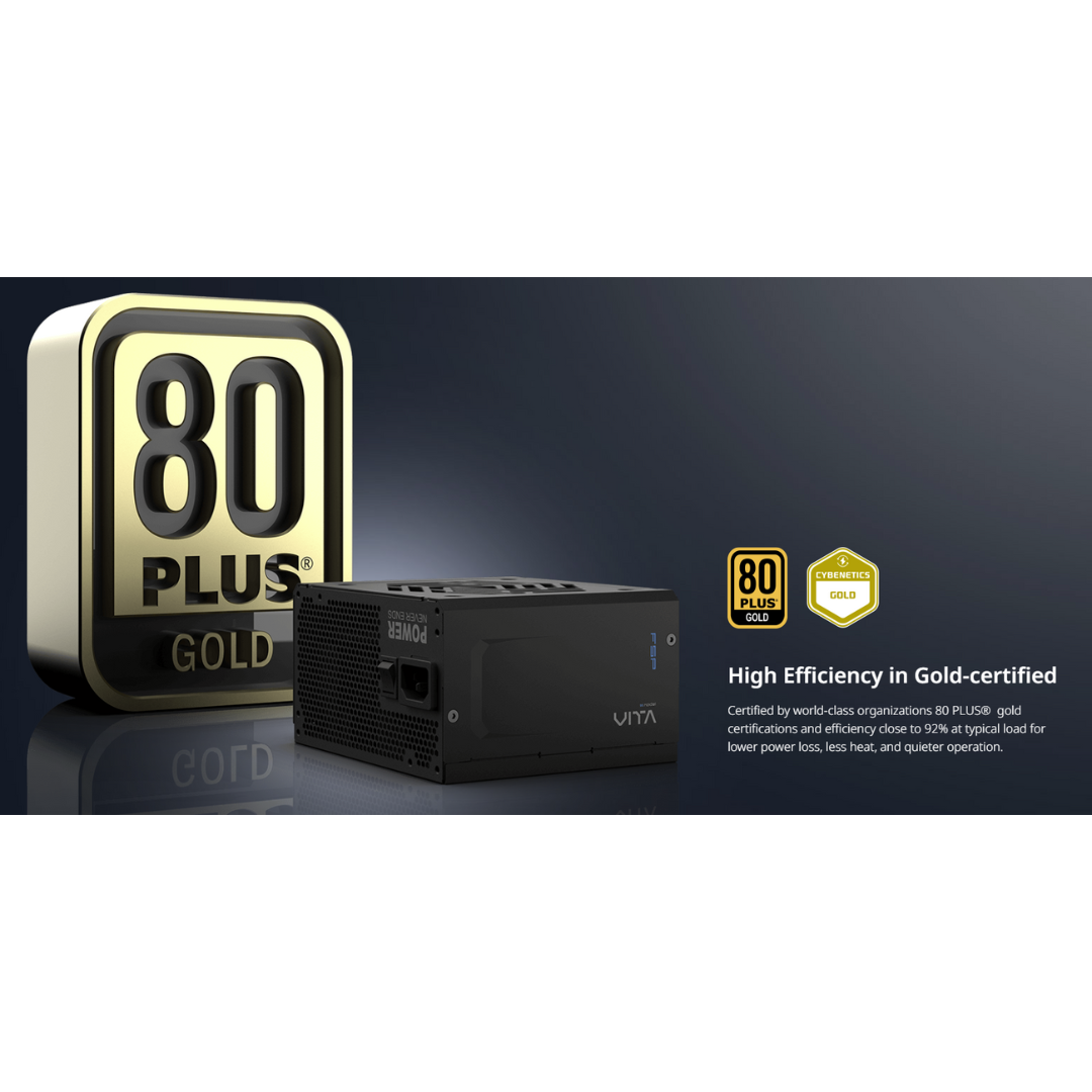 FSP VITA GM 650w 80+ GOLD ATX3.1 Full Modular Power Supply VITA-650GM