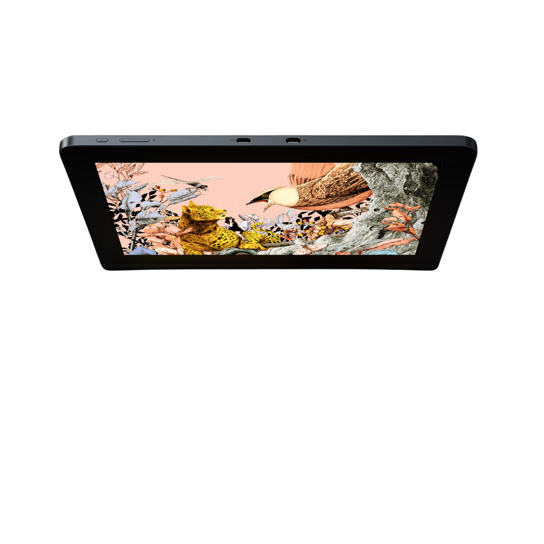 XPPen Artist Pro 16 Gen 2 2560x1600 display resolution 16K Pen pressure Pen Tablet