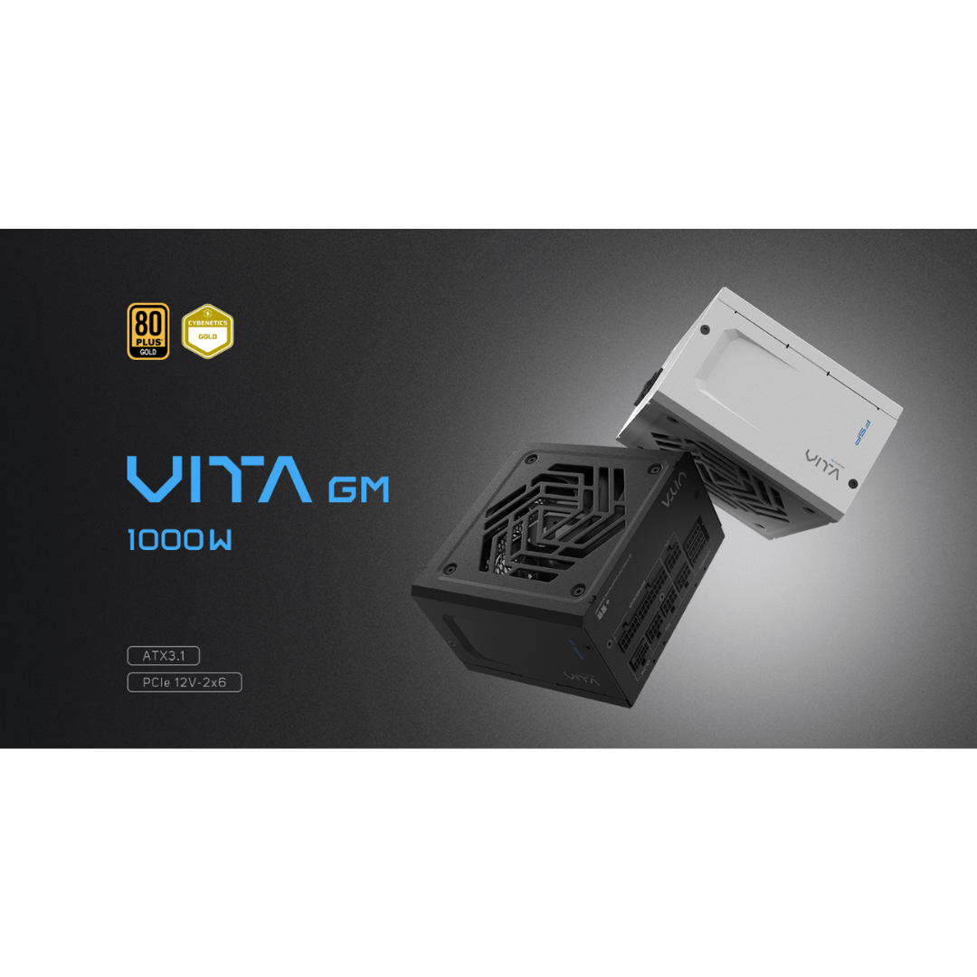 FSP VITA GM 80+ GOLD ATX3.1 Full Modular Power Supply VITA-1000GM | VITA-850GM | VITA-750GM