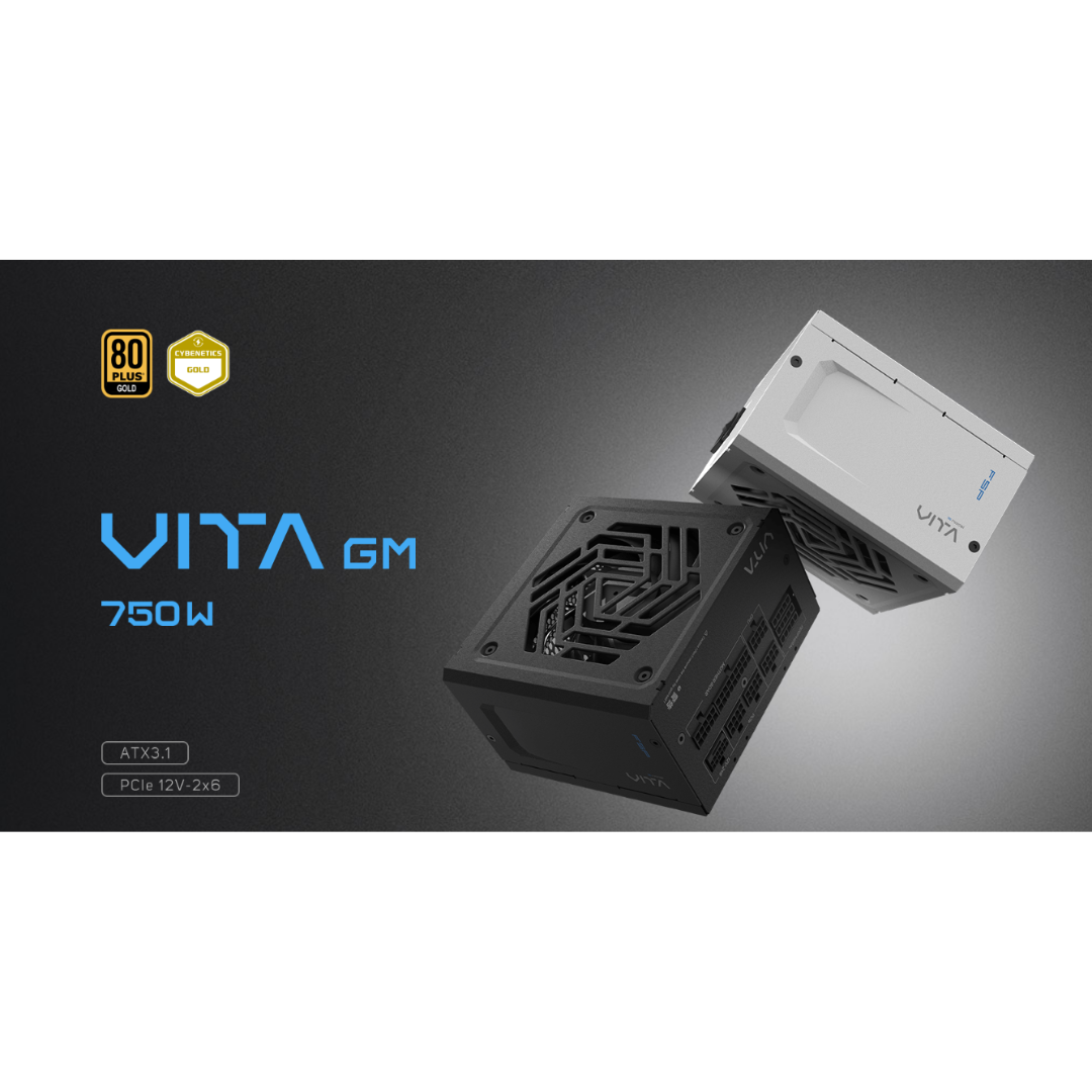 FSP VITA GM 80+ GOLD ATX3.1 Full Modular Power Supply VITA-1000GM | VITA-850GM | VITA-750GM