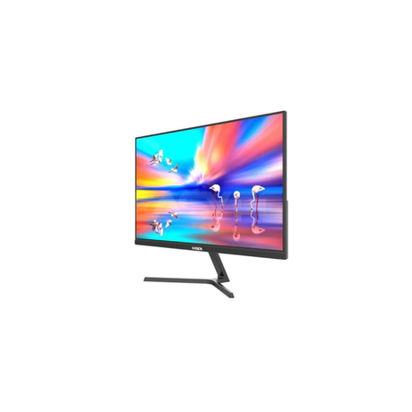 Nvision N2455 PRO 23.8" IPS 100Hz 19201080 Black vga/hdmi Monitor