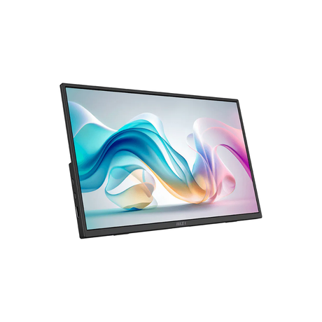 MSI Pro MP165 E6 15.6' IPS 60Hz 1080p 4ms HDMI/TÿpeC Portable & Ultra-Slim Business Monitor