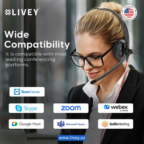 Livey LT-410DU USB Stereo Headset Black