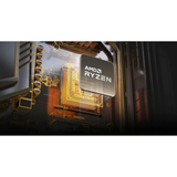 AMD Ryzen 9 9950X3D 16C/32T 144mb 170W AM5 Processor Tray