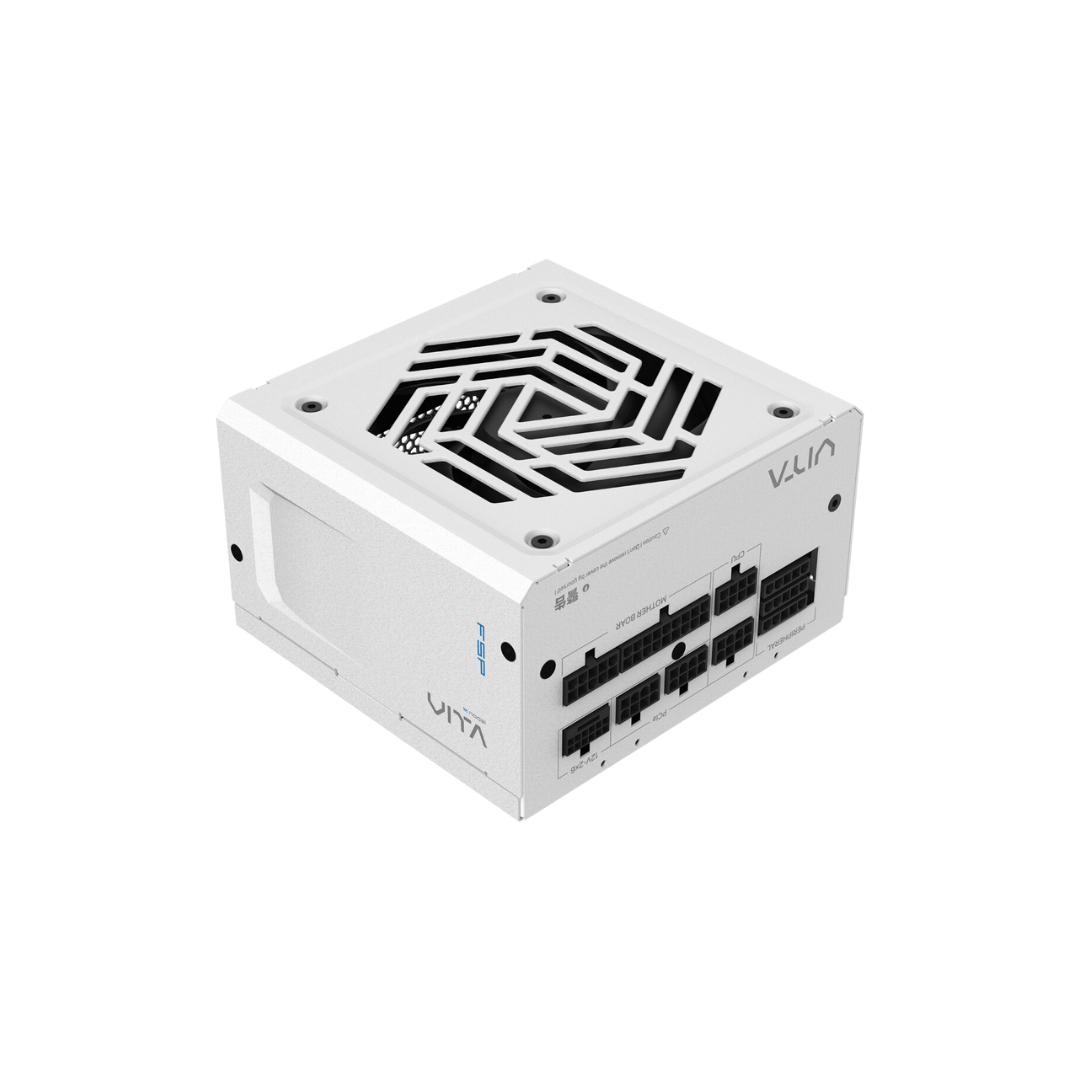 FSP VITA GM 850W WHITE 80+ GOLD ATX3.1 Power Supply VITA-850GM WHITE