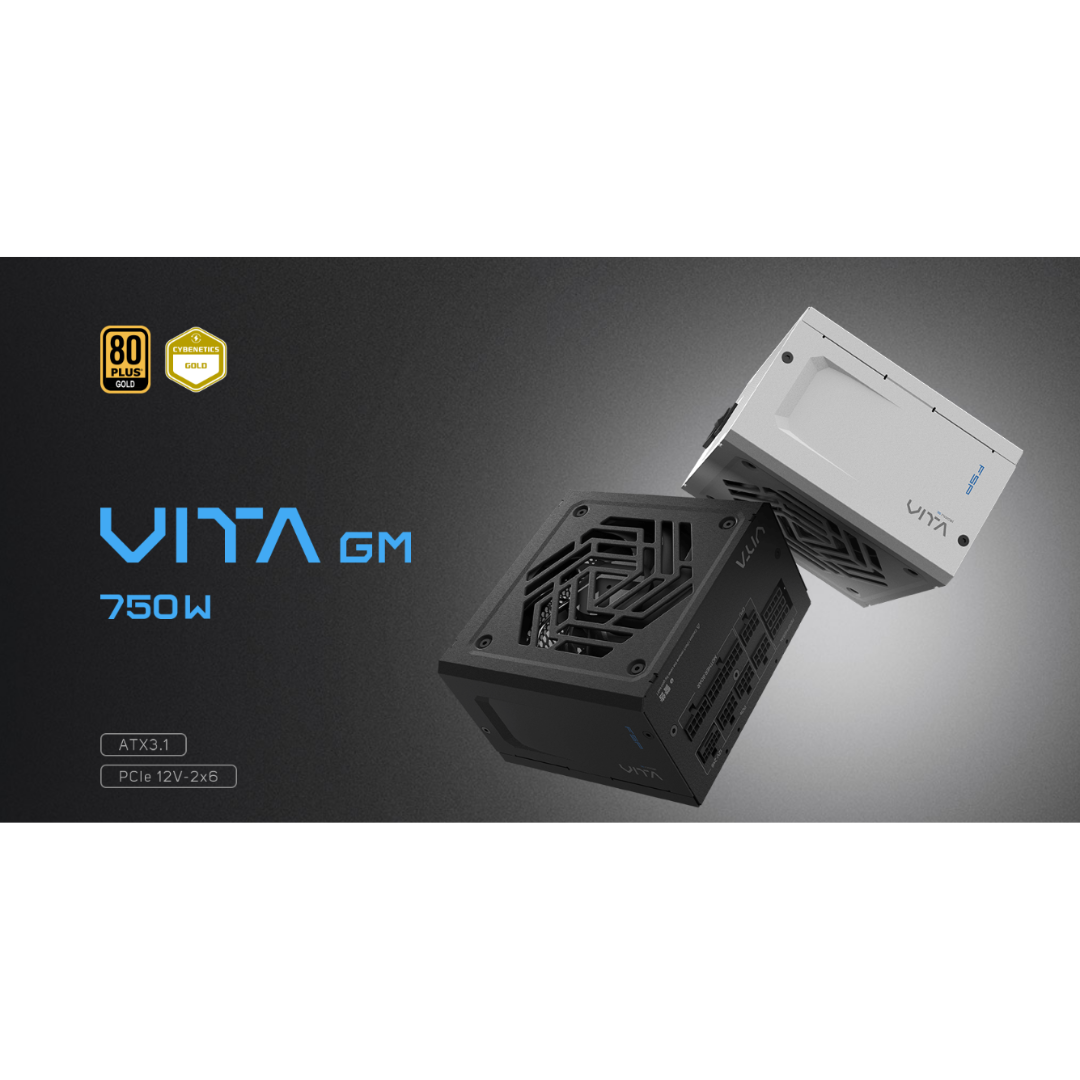 FSP VITA GM 80+ GOLD ATX 3.1 Power Supply