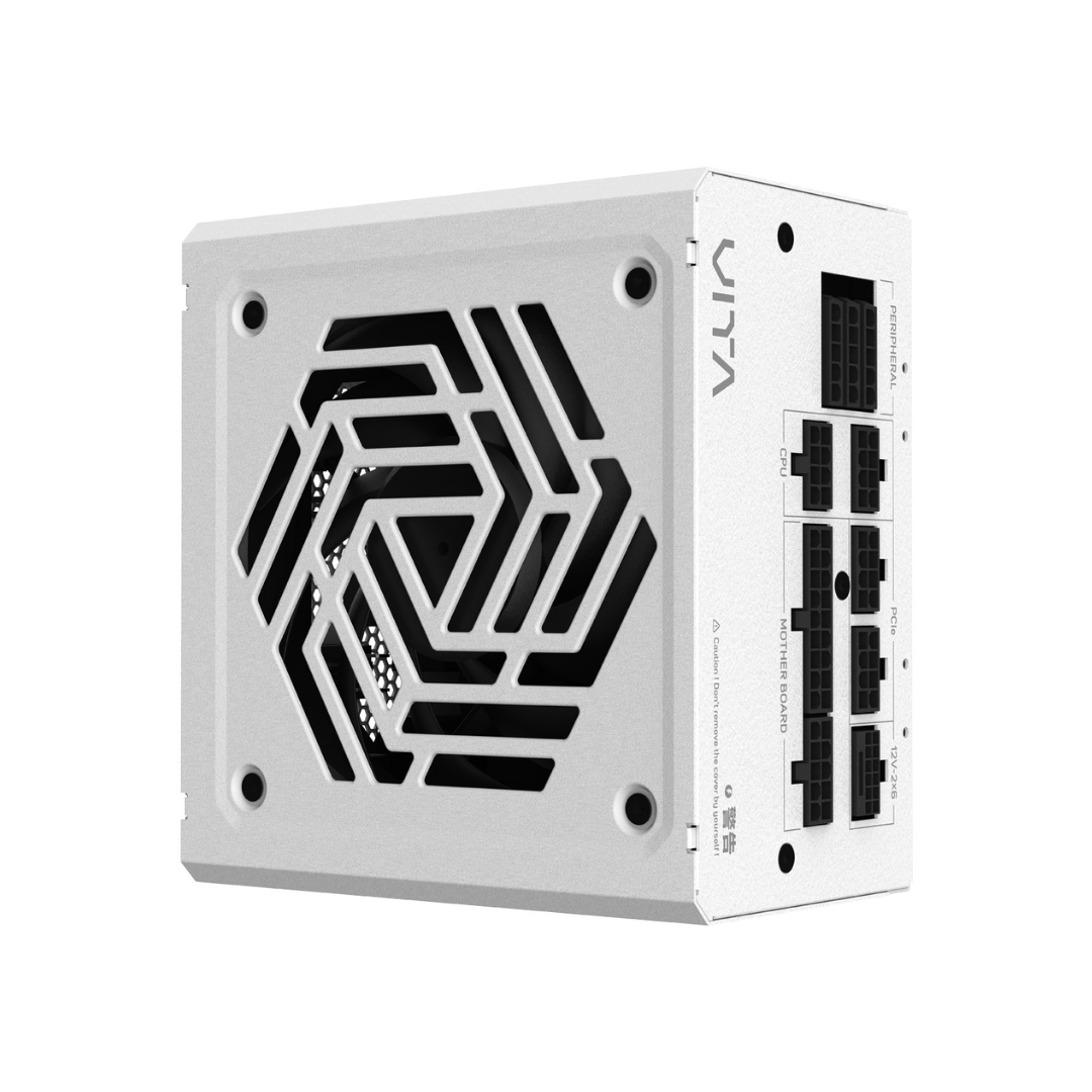 FSP VITA GM 750W WHITE 80+ GOLD ATX3.1 Power Supply VITA-750GM WHITE