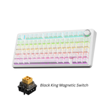 Aula F75 HE 3in1 Gaming Magnetic Switch ( Black King Magnetic Switch / Dragon King Magnetic Switch )