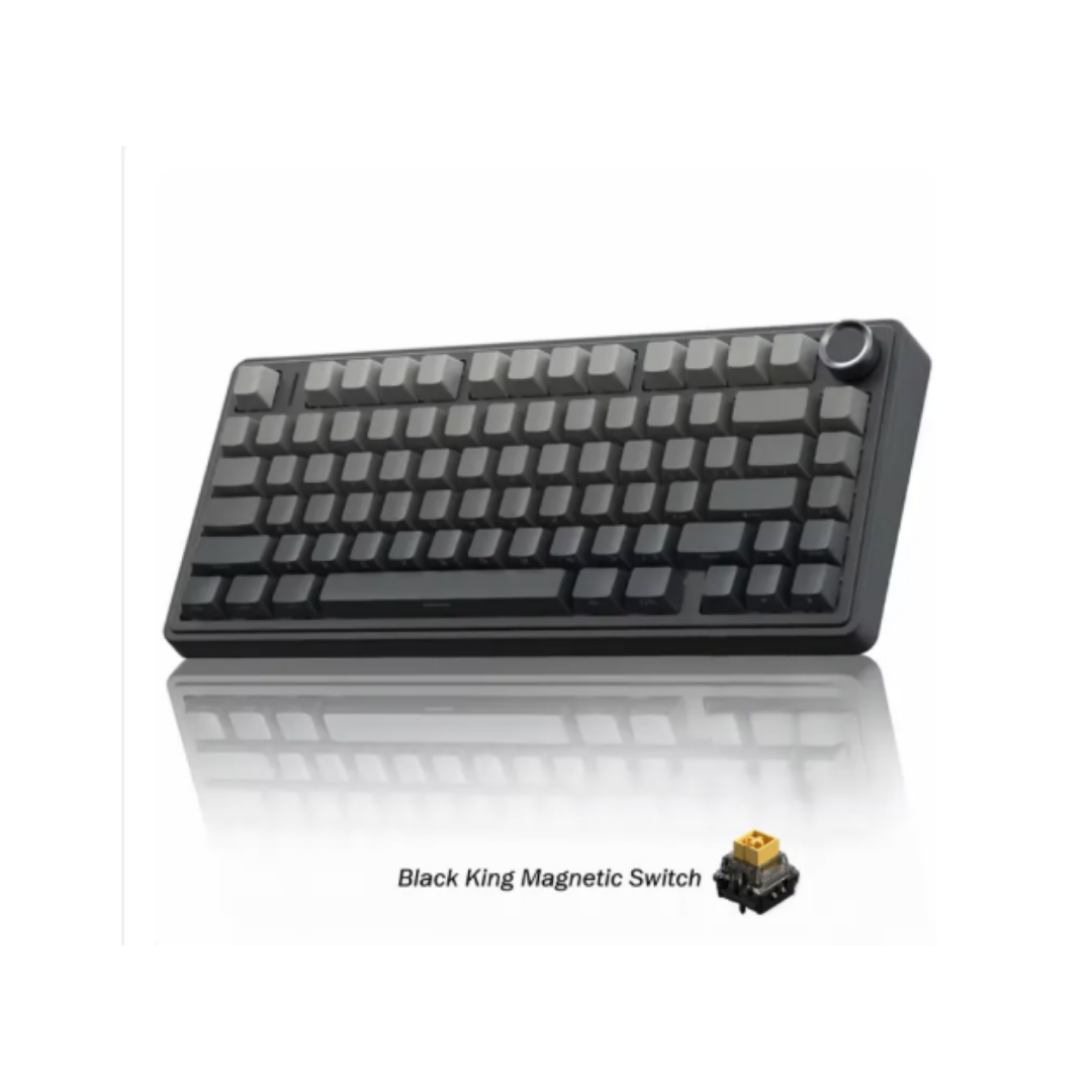 Aula F75 HE 3in1 Gaming Magnetic Switch ( Black King Magnetic Switch / Dragon King Magnetic Switch )