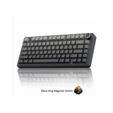 Aula F75 HE 3in1 Gaming Magnetic Switch ( Black King Magnetic Switch / Dragon King Magnetic Switch )