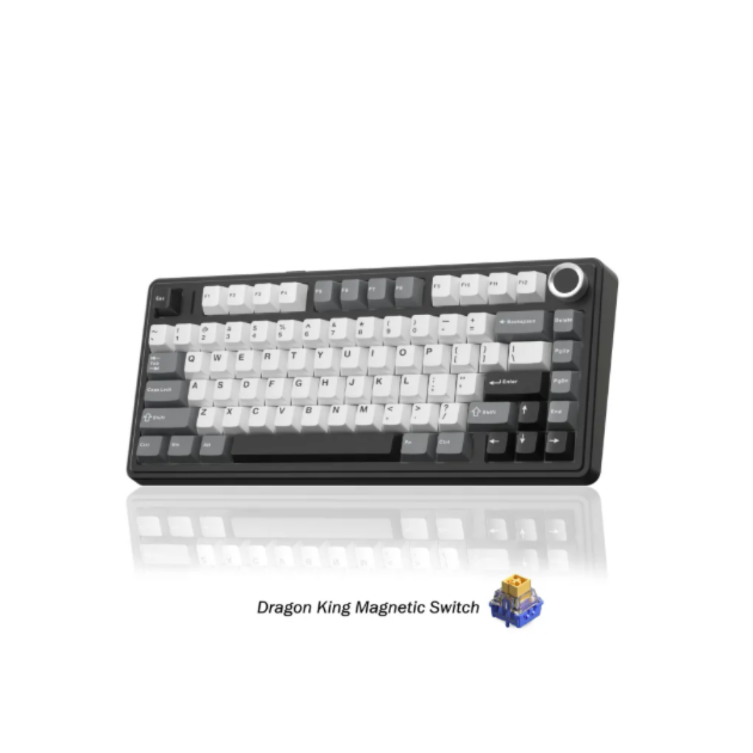Aula F75 HE 3in1 Gaming Magnetic Switch ( Black King Magnetic Switch / Dragon King Magnetic Switch )
