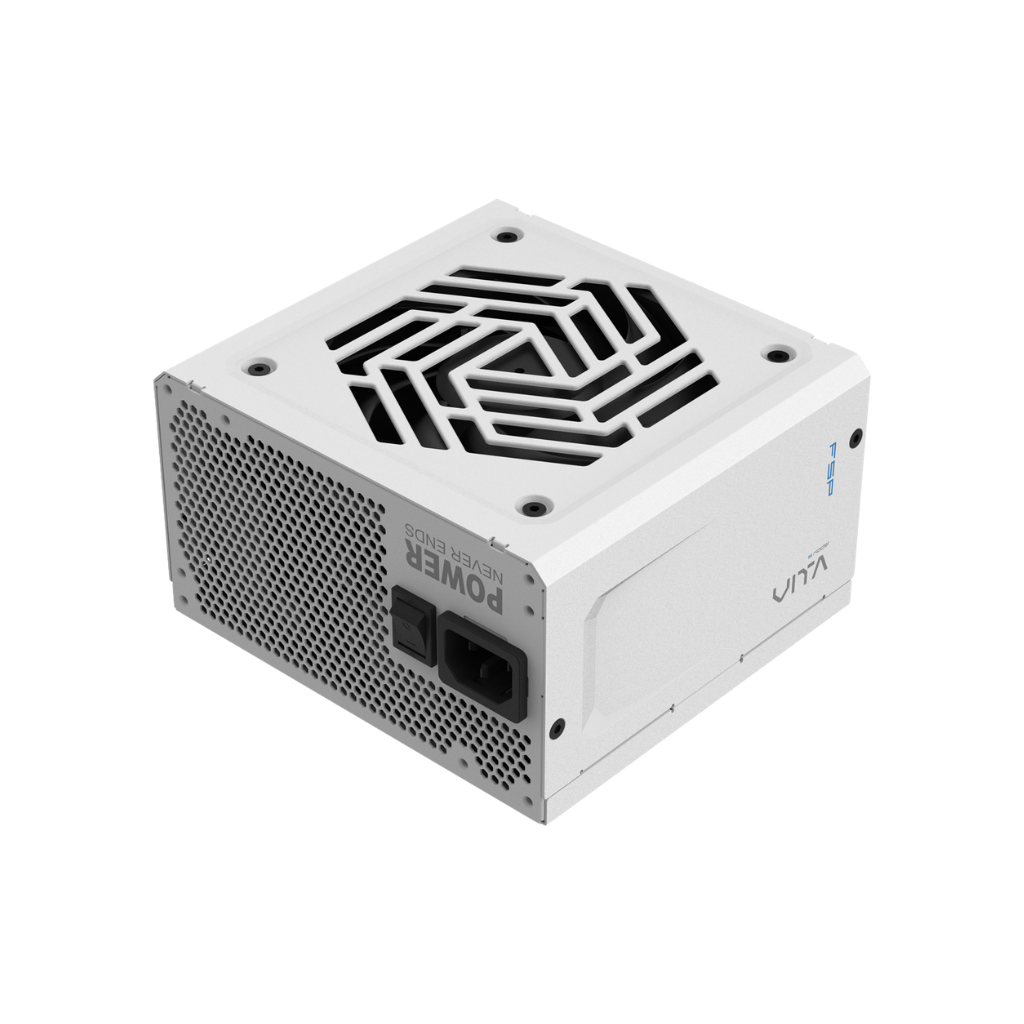 FSP VITA GM 1000w WHITE 80+ GOLD ATX3.1 Full Modular Power Supply VITA-1000GM W