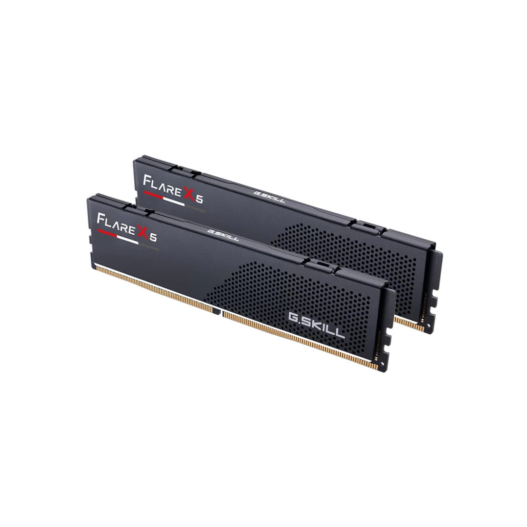 GSkill Flare X5 64GB 32GBx2 DDR5 6000MT/s CL36-36-36-96 1.35V Intel XMP / AMD EXPO Desktop Memory F5-6000J3636F32GX2-FX5