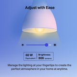 TP-Link Tapo L530E Smart Multicolor Smart Wi-Fi Light Bulb