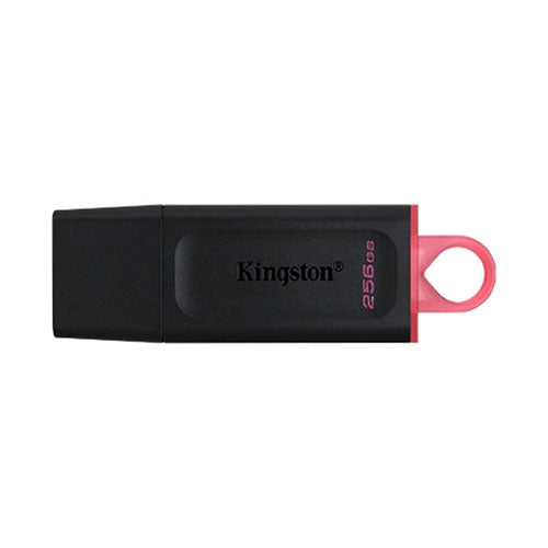 Kingston DataTraveler Exodia 256GB USB3.2 DTX/256GB USB Flash Drive
